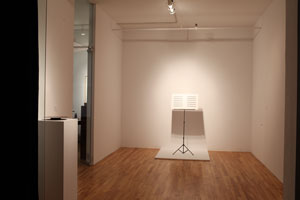 view of the show1